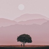 蚂蚁眼睛