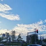 汪花花