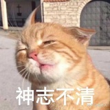 我组人馋！📖