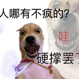 卖荔枝的杨贵妃