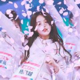 向涵之
