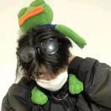 豆友7Mh8Hq_s_8