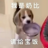 不会取名