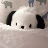 在吃葡萄柚