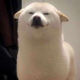 豆友9bzXQRhPI0