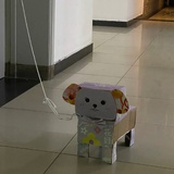 AA娃娃的