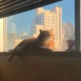 豆友wc-BsUAV6s