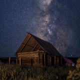 温哥华的小小鸟