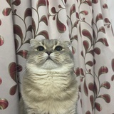 是熹熹呀
