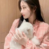 小米粒捌月