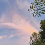 夜空守望者