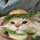 椒盐鲮鱼条