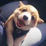 豆友NHfwvOmbkw