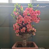 豆友5869472903
