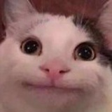 豆友VnQEYLHN8M
