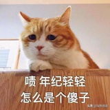 鱼乐