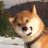 说好一起笑
