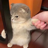 李李有话说