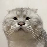 周好人