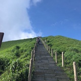 海岸线