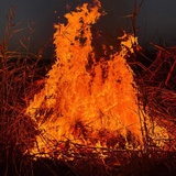 着火了