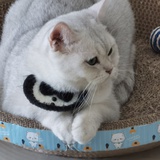 豆友264614845