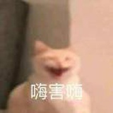 DayoML