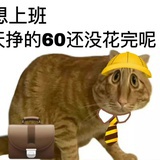 六六大宝贝