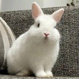 豆友Q8CjqHBF78