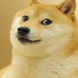 狗子