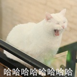 今天也想喝咖啡