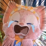 豆友264842551