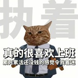 少管🐰ꐦ≖ ≖