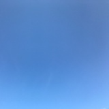 丑小鱼和鱼小丑