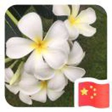 豆友TyJFoT0du4