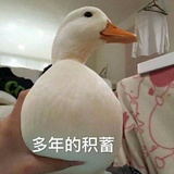初一