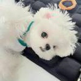 豆友Kh23u4UQcU