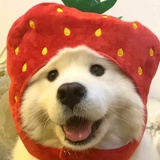叽里呱啦哈哈哈