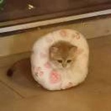 妫风