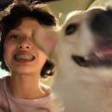 Pp:D