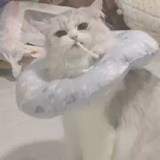 豆友5591187170