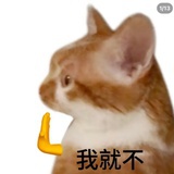 谁的尸体在说话