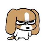 喂