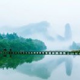 采菊东篱下