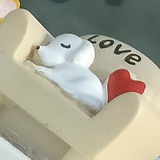 二分之一的猪