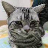 豆友xgCY_RTsGU