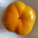 风雪夜归人