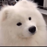豆友1136231