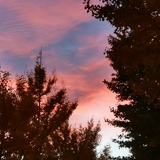 喜欢搞笑的小张