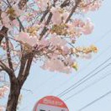 豆友VlsEKQRKjY